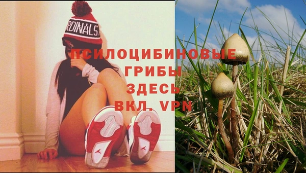 каннабис Алексеевка