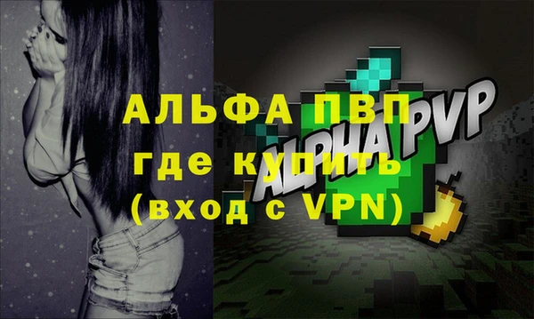 сатива Заволжье